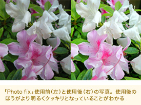 「Photo fix」使用前（左）と使用後（右）の写真。使用後の
ほうがより明るくクッキリとなっていることがわかる